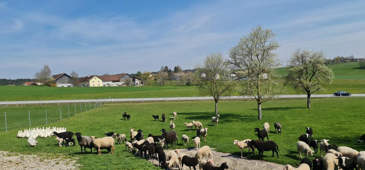 Landgasthof Entenwirt Tarsdorf Bagian luar foto