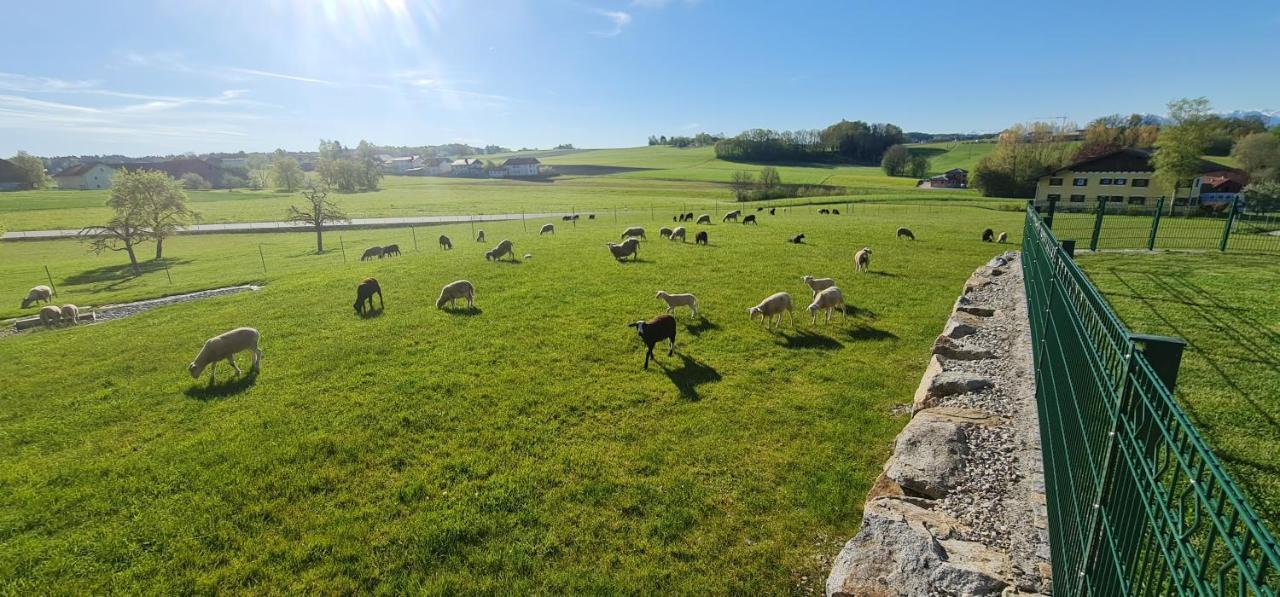 Landgasthof Entenwirt Tarsdorf Bagian luar foto