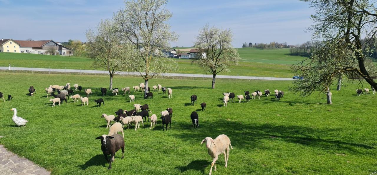 Landgasthof Entenwirt Tarsdorf Bagian luar foto
