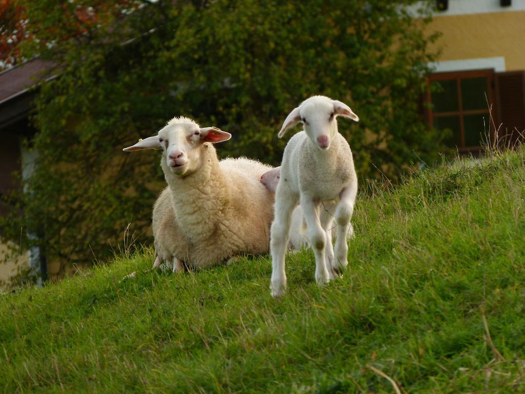 Landgasthof Entenwirt Tarsdorf Bagian luar foto